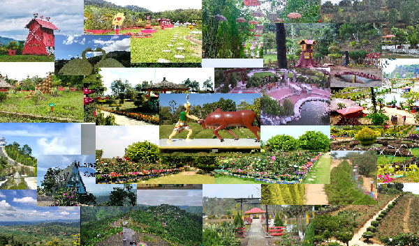 Top Most Beautiful Lush Green Parks and Gardens Of Manipur